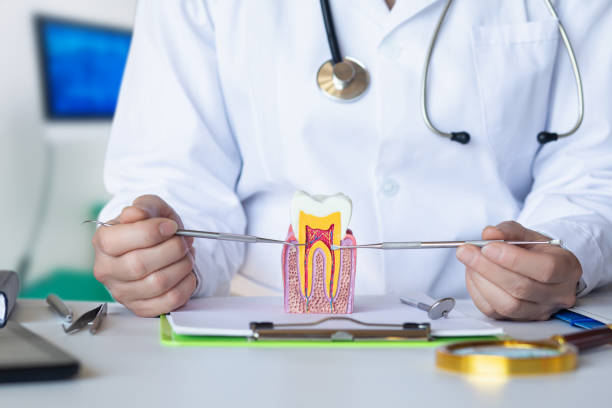 Best Knocked-Out Tooth (Avulsed Tooth) Treatment in Fernandina Beach, FL